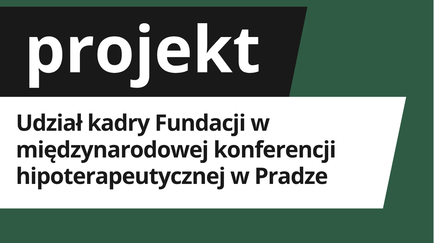 Udział w konferencji